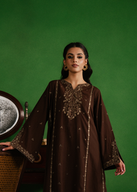 Chocolate Brown Embroidered Suit