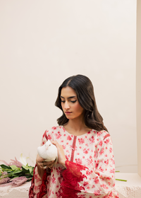 White Printed Embroidered Suit