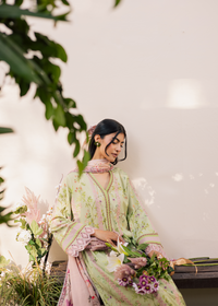 Sage Green Printed Embroidered Suit