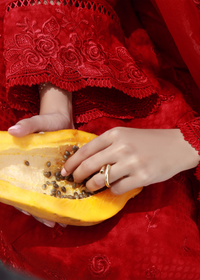 Red Luxury Embroidered Suit