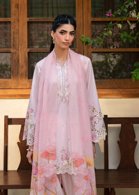 Noa Baby Pink Festive Lawn