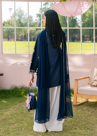 Moon Blue Embroidered Suit