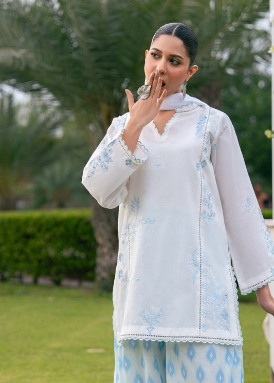 Pastel Blue Printed Embroidered Suit