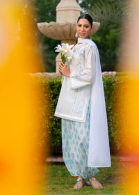Pastel Blue Printed Embroidered Suit