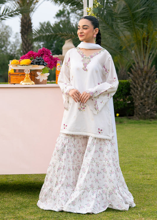 White Printed Embroidered Suit