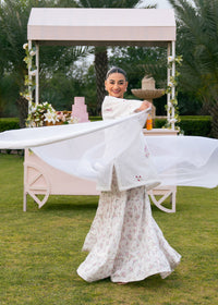 White Printed Embroidered Suit