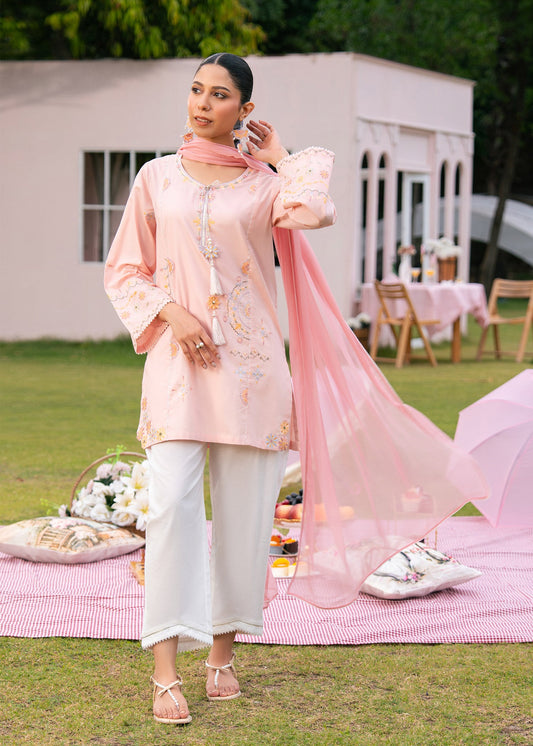 Pastel Pink Embroidered Suit