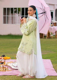 Sage Green Embroidered Suit