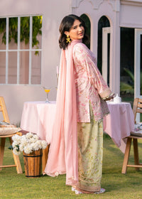 Baby Pink Printed Embroidered Suit