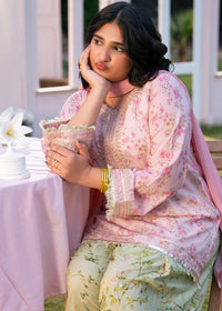 Baby Pink Printed Embroidered Suit