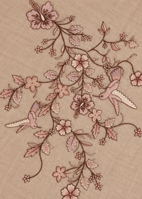 Beige Embroidered Pashmina Shawl